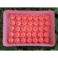 ราคา ⭐พร้อมส่ง⭐ริบบิ้นโปรยทานดอกกุหลาบ(ตัวเปล่า) (8863358568)