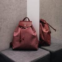ราคา Longchamp Le pliage Dandy backpack ของแท้ !! ซื้อมาเก็บ ไม่เคยใช้ (4439992955)