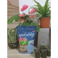 ราคา ออสโมโค้ท สูตร 12-25-6 +1%(Osmocote 12-25-6+1%) สูตรดอก ขนาด 1กิโลกรัม (6652437429)