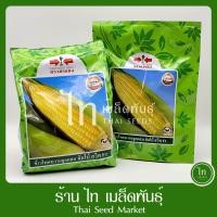 ราคา จัมโบ้สวีท ข้าวโพดหวาน เมล็ดข้าวโพด ลูกผสม จัมโบ้ สวีท F1 เมล็ดพันธุ์ตรา ศรแดง หวาน ทนโรค บรรจุ 1 กิโลกรัม /200 กรัม (11595668194)