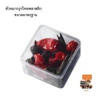 ราคา ตัวหมากรุกไทยพลาสติกขนาดมาตรฐาน (สีแดง-ดำ) (**ส่งฟรี Kerry**) เกมส์หมากรุก เกมกระดาน Thai Chess หมากรุก (แดง-ดำ) ตัวหมาก (2775132936)