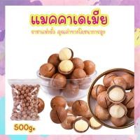 ราคา จัดส่งที่รวดเร็วแมคคาเดเมีย 500g อบพร้อมทาน แบบมีเปลือก (มีที่แกะเปลือก) Macadamia เต็มเม็ด คัดพิเศษ ถั่ว (3065108317)