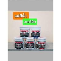 ราคา สีน้ำ แม่สี SEFCO ชนิดด้าน 0.85ลิตร (4959501302)