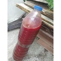 ราคา จุลินทรีย์สังเคราะห์แสงเกษตร (Photosynthetic Bacteria) (43377607458)