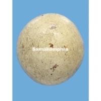 ราคา ลูกอมพระปลัดปาน วัดตุ๊กตา นครปฐม พร้อมบัตรรับรองพระแท้จากสมาคมผู้นิยมพระเครื่องพระบูชาไทย (22517344710)