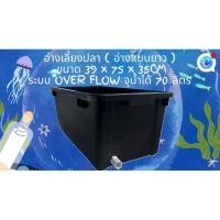 ราคา อ่างเลี้ยงปลา 70 ลิตร ระบบoverflow 39x 75x 31cm ท่อเดียวขาว อ่างปลา อ่างเลี้ยงปลา กะบะปลา อ่างปลาบอลลูน อ่างปลาเมกาดะ (46904419741)