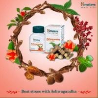 ราคา Himalaya Ashvagandha (60เม็ด) โสมอินเดีย (20894292096)