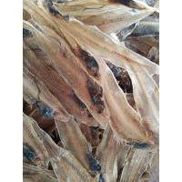 ราคา ปลาลิ้นหมาตากแห้ง สดใหม่ๆ (8432499280)