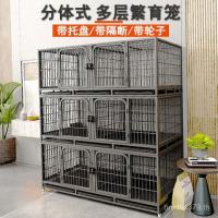 ราคา กรงเพาะพันธุ์กรงจับคู่กรงเพาะพันธุ์กรงเพาะพันธุ์ลูกสุนัขนกพิราบแมวกรงกระต่ายแมวสามชั้นแสดงกรงกรง ที่6 (52504174057)