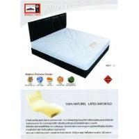 ราคา ที่นอน ยางพารา 100% - LUCKY PREVIEGE (2282975148)