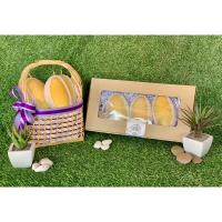 ราคา มะม่วงน้ำดอกไม้สีทอง เกรดพรีเมียม (23132518992)