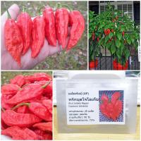 ราคา เมล็ดพันธุ์ พริกบุตโจโลเกีย (Bhut Jolokia Pepper Seed) บรรจุ 20 เมล็ด คุณภาพดี ราคาถูก ของแท้ 100% (2314677554)