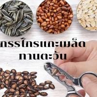 ราคา (พร้อมส่ง)ที่แกะเมล็ดทานตะวัน แกะเมล็ดฟักทอง ที่แกะเมล็ดแตงโม กรรไกรสแตนเลส ปอกเปลือกเมล็ดทานตะวัน (29967978079)