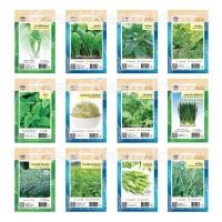 ราคา เมล็ดพันธุ์ ผักใบ ชุดที่ 2 เจียไต๋ (ซอง) ตราเครื่องบิน ++ Best Seller ++ เมล็ดผัก ผักสวนครัว ต้นหอม ขาวปลี ดอกกะหล่ำ ฯ (3616908314)