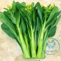 ราคา เมล็ดพันธุ์ กวางตุ้งดอก กวางตุ้งดอกพันธุ์แตกยอด (26071264602)