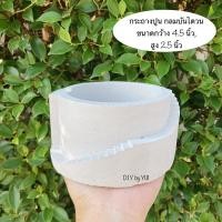 ราคา กระถางปูน กระถางแคคตัส กระถางปูนเปลือย (8413637403)