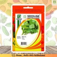 ราคา SL คึ่นช่าย เมล็ดพันธุ์คึ่นช่าย celery ขึ้นช่าย ซีดไลน์ (16794660129)