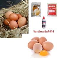 ราคา วิตามินเสริมไก่ไข่ เป็ดไข่ (22652952337)