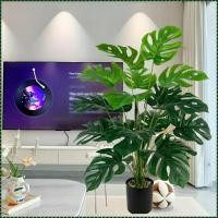 ราคา ต้นไม้จำลองสีเขียวในร่ม 18 หัว มอนสเตอร่า ใบโชคลาภ ต้นหมาก ต้นไม้จำลอง ตกแต่งโรงแรม สีเขียวปลอม (51300388562)