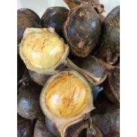 ราคา ลูกเนียงแก่ ปักษ์ใต้ ใช้ทำผักเคียงกินกับน้ำพริกหรือจะเอาไปทำลูกเนียงเพาะก็ได้ ขนาด1kg (44016020201)