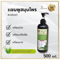 ราคา แชมพูสมุนไพร ผมดกดำ สูตรว่านหางจระเข้ (25720527913)