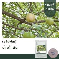ราคา เมล็ดพันธุ์น้ำเต้าต้น(น้ำเต้าญี่ปุ่น) บรรจุ 50 เมล็ด (21805470877)