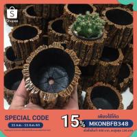 ราคา กระถางต้นไม้ กระถางดินเผา กว้าง 3 สูง 2.5 นิ้ว ลายไม้ธรรมชาติ (5451722457)