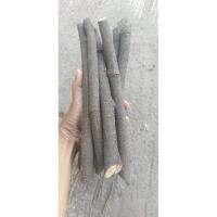 ราคา หางไหลแดง (ไล่ติ๊น) ตัดท่อน แบบสด (28257743076)