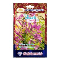 ราคา เมล็ดดอกเสี้ยนฝรั่ง CLEOME เมล็ดผักเสี้ยนฝรั่ง MT/FW-29 เมล็ดพันธุ์ เมล็ดพันธุ์พืชดอกไม้ เมล็ดดอกไม้ (19784514876)