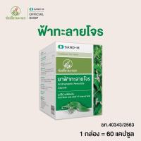 ราคา ฟ้าทะลายโจร ช่อเขียวมะกอก 1 กล่อง 60 แคปซูล (ฟ้าทะลายโจร 400 มก. ต่อ แคปซูล) (22847270968)