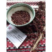 ราคา เมล็ด ข้าวฟ่างแดง-ซานตาเฟสีแดง-ข้าวฟ่างหวาน-ข้าวฟ่างไบสามสี-50เมล็ด Sh 013 เพาะ (23039185584)