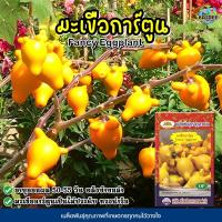 ราคา เมล็ดมะเขือการ์ตูน Fancy Eggplant ตราภูเขาทอง เมล็ดพันธุ์มะเขือการ์ตูน มะเขือมิกกี้เม้าส์ เมล็ดพันธุ์ผัก เมล็ดมะเขือ (6358884617)