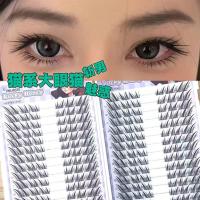 ราคา Cat Series Big-Eyed Cat ขนตาปลอมสไตล์ใหม่โบราณสามมิติหวาน Pure Handmade Segmented Single Cluster ขนาดใหญ่-หมวก (25037624546)