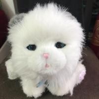 ราคา ตุ๊กตาแมวขี้อ้อน little live pets (5536084639)