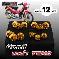 ราคา น็อตชุดสี น็อตเฟลม เทน่า 12ตัว เฟืองทอง งานสแตนเลสแท้ ชุดสี Honda Tena (54253262047)