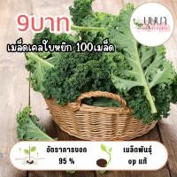 ราคา เมล็ดเคลใบหยิก 9บาท 100เมล็ด (41555896934)