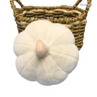 ราคา แฟลชลี ผักของเล่นตุ๊กตาของขวัญวันเกิดแครอทการ์ตูนพริกมะเขือสัตว์เลี้ยงของเล่นตุ๊กตา (45954041110)