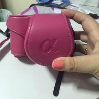 ราคา Case sony a5100 (32480247)