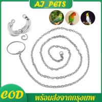 ราคา โซ่คล้องห่วงขานกแก้ว 100cm โซ่ขานกสแตนเลส ห่วงเปิดนก พร้อมห่วงล็อค สายเกาะคอนนกแก้ว ฟอพัส เลิฟเบิร์ด ซันคอนัวร์ (26568413188)