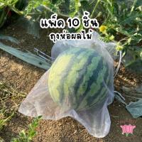 ราคา ถุงตาข่าย บรรจุผลไม้ 10ชิ้นต่อแพ็ค ถุงตาข่ายกันแมลง ถุงอเนกประสงค์ (29110876875)