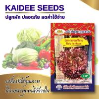 ราคา เมล็ดผักกาดหอมสีม่วง Red lettuce ผักสลัดม่วง เมล็ดผักกาดหอม เมล็ดพันธุ์ผักกาดหอม เมล็ดผักสวนครัว ตราภูเขาทอง (4658886378)