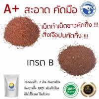 ราคา เม็ดแมงลักแดง ขนาด 125 กรัม "คัดมือ ด้วยความใส่ใจ" ผลผลิตฤดูกาลใหม่ แมงลักแดง เมล็ดแมงลักแดง (8310707392)