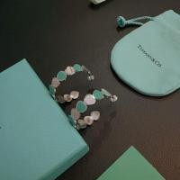 ราคา ต่างหูทิฟฟานี่ TIFFANY & CO. สไตล์คลาสสิก-retro ทำมือแท้ สร้อยเงินแบบโรค พังค์ ตามเทรนด์ (53905114080)