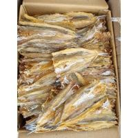 ราคา ปลาช่อนทะเลแห้งใหญ่(1 กก. ) ปลาจิ๊กโก๋ใหญ่, ปลาหัวขาด ปลาช่อนทะเลตากแห้งใหญ่ (41020273141)