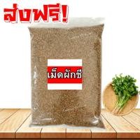 ราคา MK เม็ดผักชี 1เเถม1 เมล็ดผักชี เม็ดผักชี ผักชี ผักชีไทย ผักชี เมล็ดผักชี เม็ดผักชี ลูกผักชี ผักชีเมล็ดผักชี (43400167319)