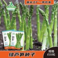 ราคา หน่อไม้ฝรั่งสีเขียวเมล็ดปีดิบสีเขียวหน่อไม้ฝรั่งเมล็ดมังกรผ้าไหมผักหินถนนเมล็ดไซเปรสเมล็ดผักเมล็ดผักเมล็ด (49300242247)