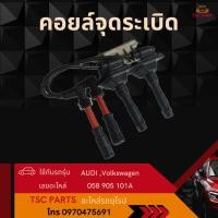 ราคา คอยล์จุดระเบิด Audi A4(B5) A6(C4) A6(C5) Audi Cabriolet Volkswagen Passat B5 (24997263956)