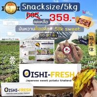 ราคา Oishi-Fresh ยกลัง 5 กิโลกรัม Snack มันหวานญี่ปุ่นสายพันธุ์ Silk sweet ปลูกไทย เนื้อเหลือง หวาน อร่อย .สินค้าเคลมได (27011293197)