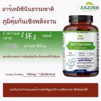 ราคา Zazzee Green Tea Extract 100mg สารสกัดชาเขียวเข้มข้น 120 แคปซูล Exp:04/2027 (48752589900)