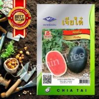 ราคา เมล็ดพันธุ์ แตง โม ทัมอัพ Watermelon Seedเจียไต๋ 2 กรัม 56 (10819983966)